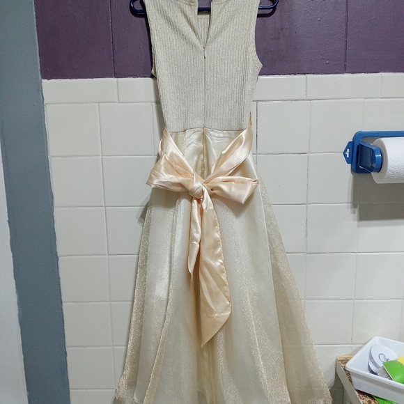 Young land girls size 7 brownish tan color formal ribbon tie dress - Picture 4 of 6